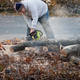 Illustration for article titled What Should Homeowners Know About Tree Trimming Services?